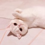 Avatar de Felipe Madrid